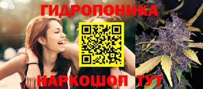 ПСИЛОЦИБИНОВЫЕ ГРИБЫ Донской