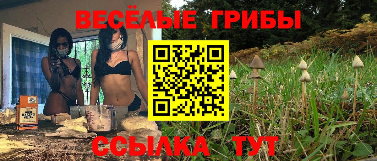 Псилоцибиновые грибы Psilocybe  Галлюциногенные грибы мицелий  закладка  Лесозаводск 