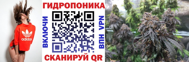 Каннабис конопля Лесозаводск
